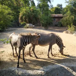 Parc Zoologique et Botanique de Mulhouse - Mulhouse