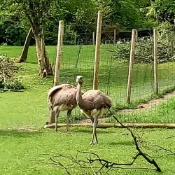 Parc Zoologique et Botanique de Mulhouse - Mulhouse