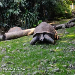 Parc Zoologique et Botanique de Mulhouse - Mulhouse