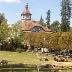 Parc Zoologique et Botanique de Mulhouse - Mulhouse