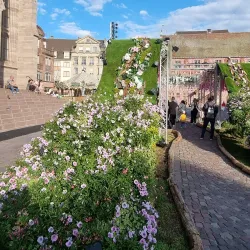 Place de la Réunion - Mulhouse