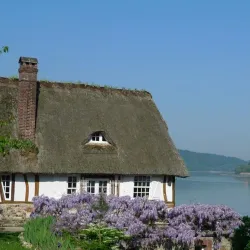 La Boucle de la Seine - Nanterre