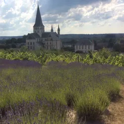 La Boucle de la Seine - Nanterre