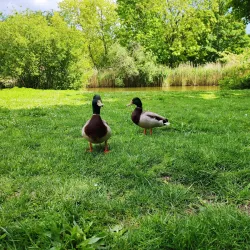 Parc André Malraux - Nanterre