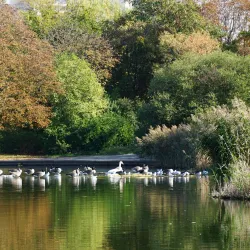 Parc André Malraux - Nanterre