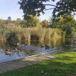 Parc André Malraux - Nanterre