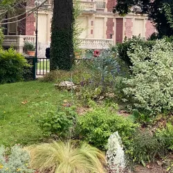 Parc des Anciennes Mairies - Nanterre