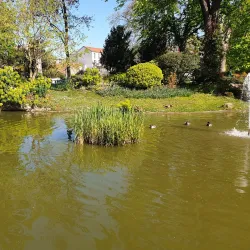 Parc des Anciennes Mairies - Nanterre