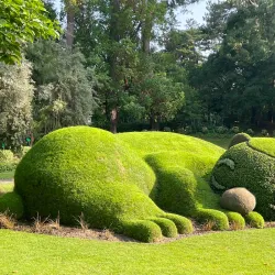 Jardin des Plantes - Nantes