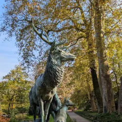 Jardin des Plantes - Nantes