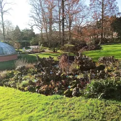 Jardin des Plantes - Nantes