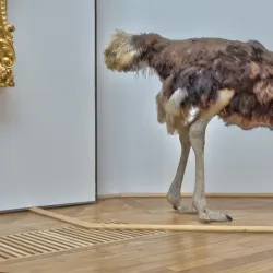 Musée d'Arts de Nantes - Nantes