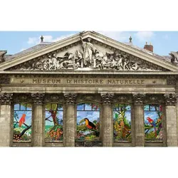 Muséum d'Histoire Naturelle de Nantes - Nantes