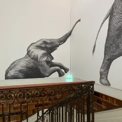 Muséum d'Histoire Naturelle de Nantes - Nantes