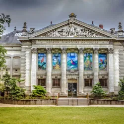 Muséum d'Histoire Naturelle de Nantes - Nantes