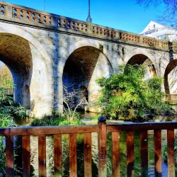 Parc de Procé - Nantes