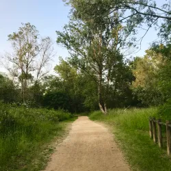 Loire River Walks - Nevers