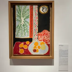 Matisse Museum (Musée Matisse) - Nice