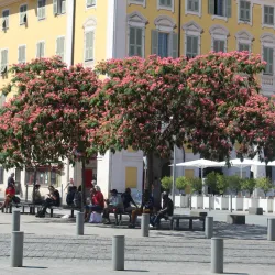 Old Town (Vieux Nice) - Nice
