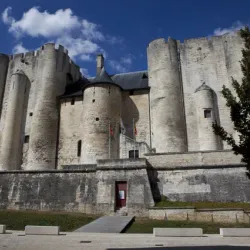 Donjon de Niort (Niort Castle) - Niort