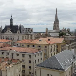 Donjon de Niort (Niort Castle) - Niort