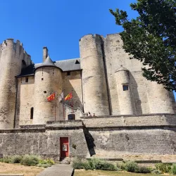 Donjon de Niort (Niort Castle) - Niort