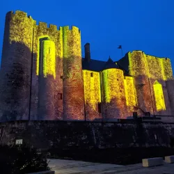 Donjon de Niort (Niort Castle) - Niort