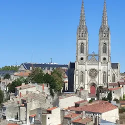 Donjon de Niort (Niort Castle) - Niort