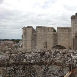 Donjon de Niort (Niort Castle) - Niort