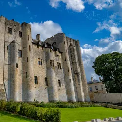 Donjon de Niort (Niort Castle) - Niort