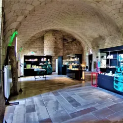 Donjon de Niort (Niort Castle) - Niort