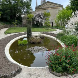 Jardin des Plantes de Niort - Niort