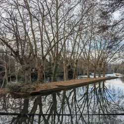 Jardin des Plantes de Niort - Niort
