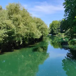 Jardin des Plantes de Niort - Niort
