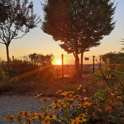 Jardin des Plantes de Niort - Niort