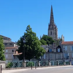 Jardin des Plantes de Niort - Niort