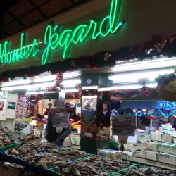 Les Halles de Niort - Niort