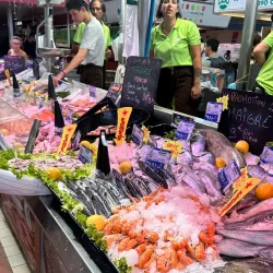 Les Halles de Niort - Niort