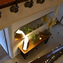 Maison de la Nature de Niort - Niort