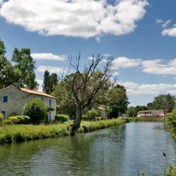 Sèvre Niortaise River Walk - Niort