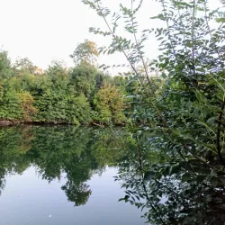 Sèvre Niortaise River Walk - Niort
