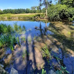 Sèvre Niortaise River Walk - Niort