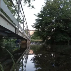 Sèvre Niortaise River Walk - Niort