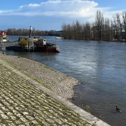 Loire River Walks - Orleans