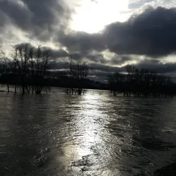 Loire River Walks - Orleans