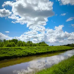 Loire River Walks - Orleans