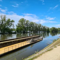 Loire River Walks - Orleans