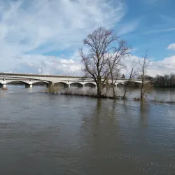 Loire River Walks - Orleans