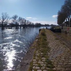 Loire River Walks - Orleans