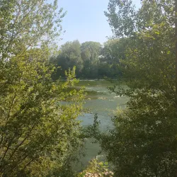 Loire River Walks - Orleans